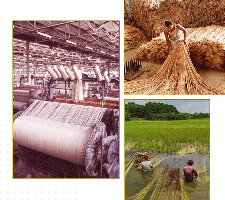 Indian jute exporter